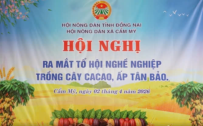 hình 1