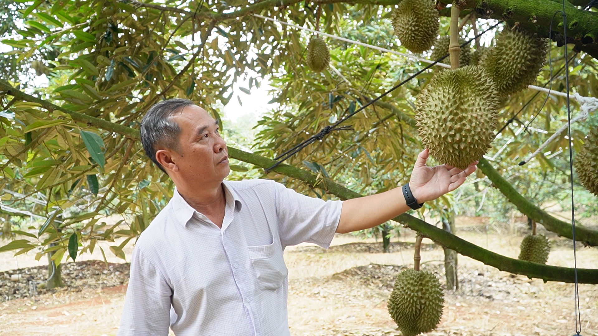 SAU RIENG THAI TIEP TUC KHANG DINH VI THE (2)