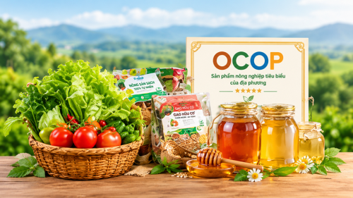 Chứng nhận OCOP