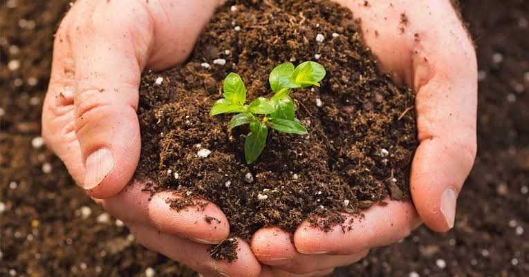 Quy trình Sản xuất hữu cơ