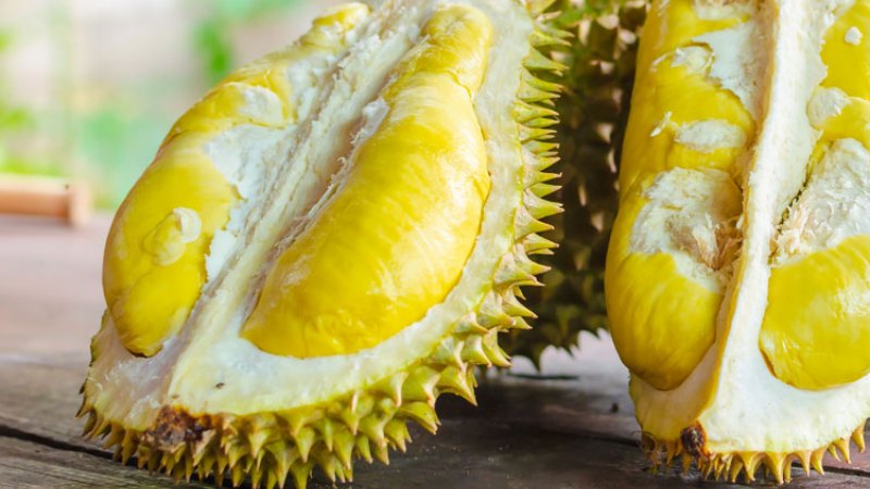 Sầu riêng Cẩm Mỹ