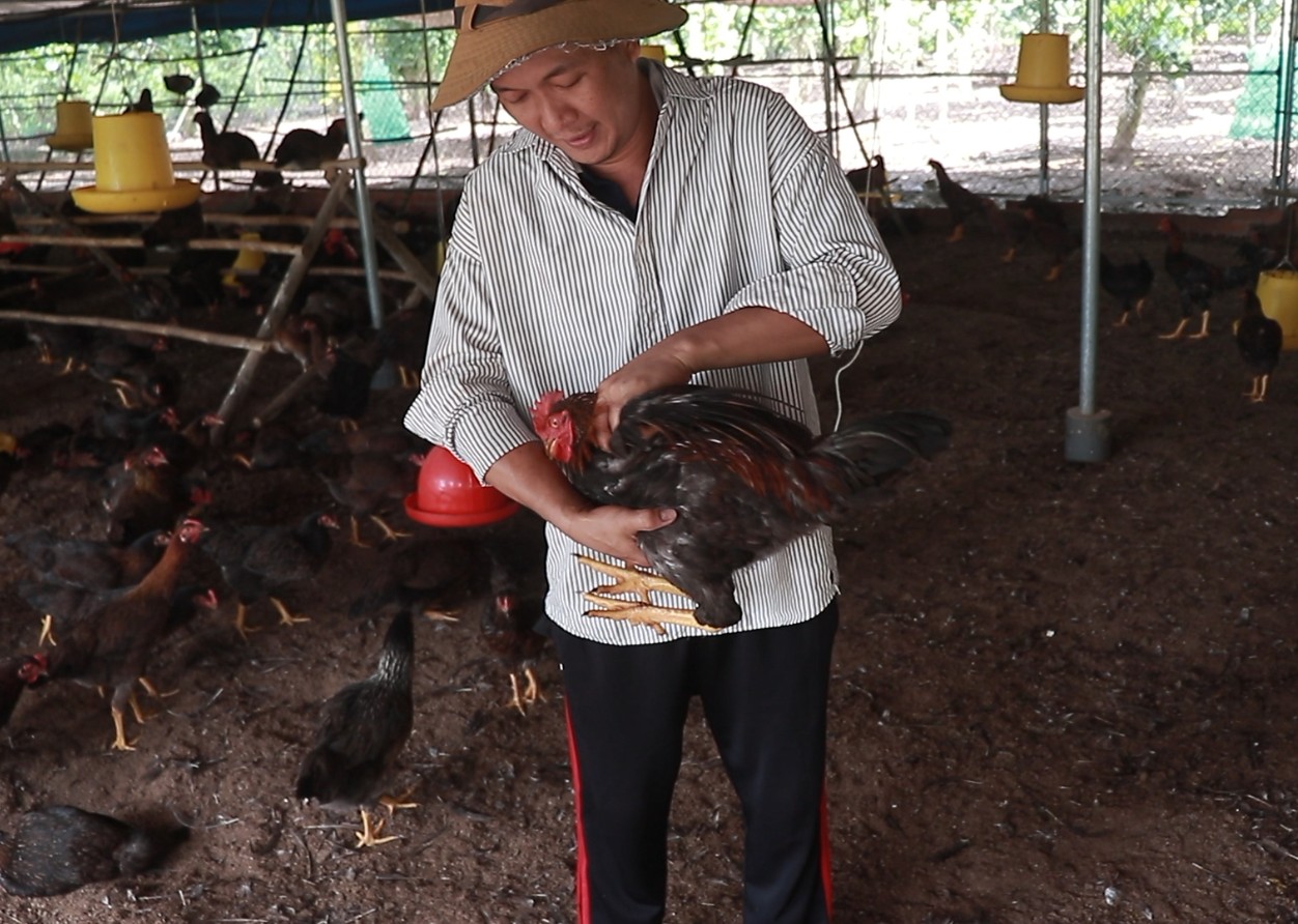 Sản phẩm Gà